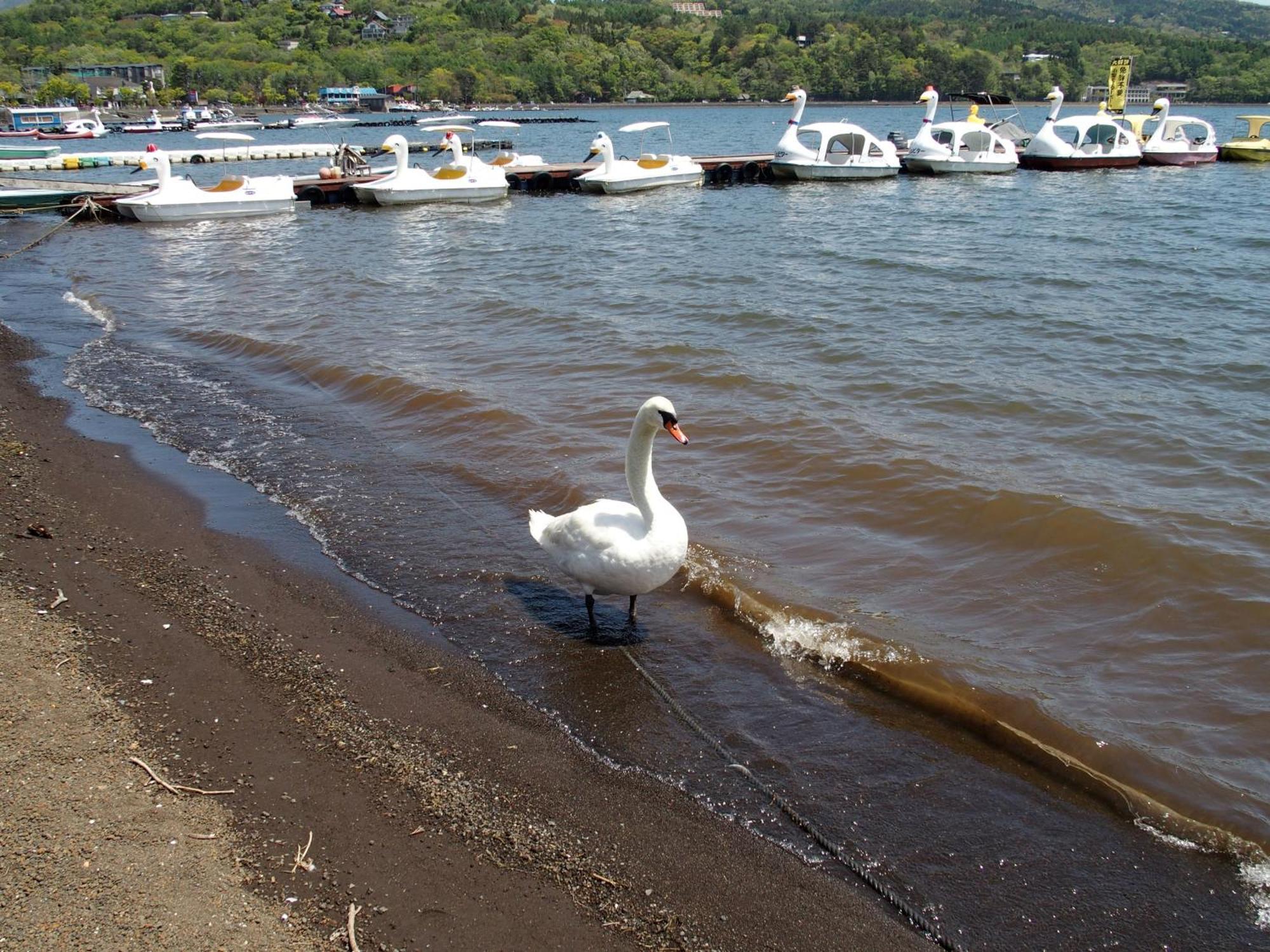 Guesthouse Hiiragi Jamanakako Kültér fotó